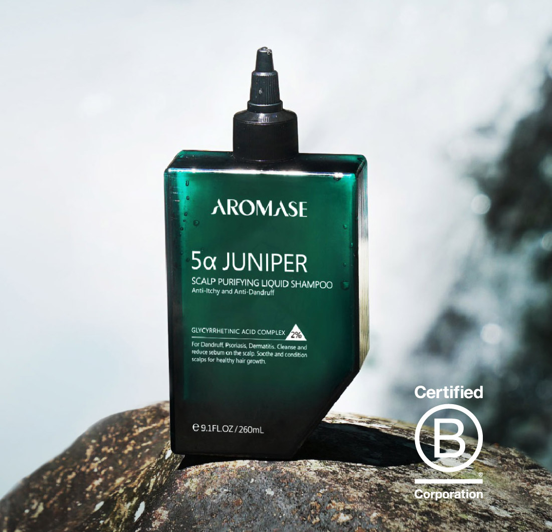 AROMASE Anti-Hair Loss 2 Steps Solution for Thinning Hair (scalp deep cleanser + daily shampoo)